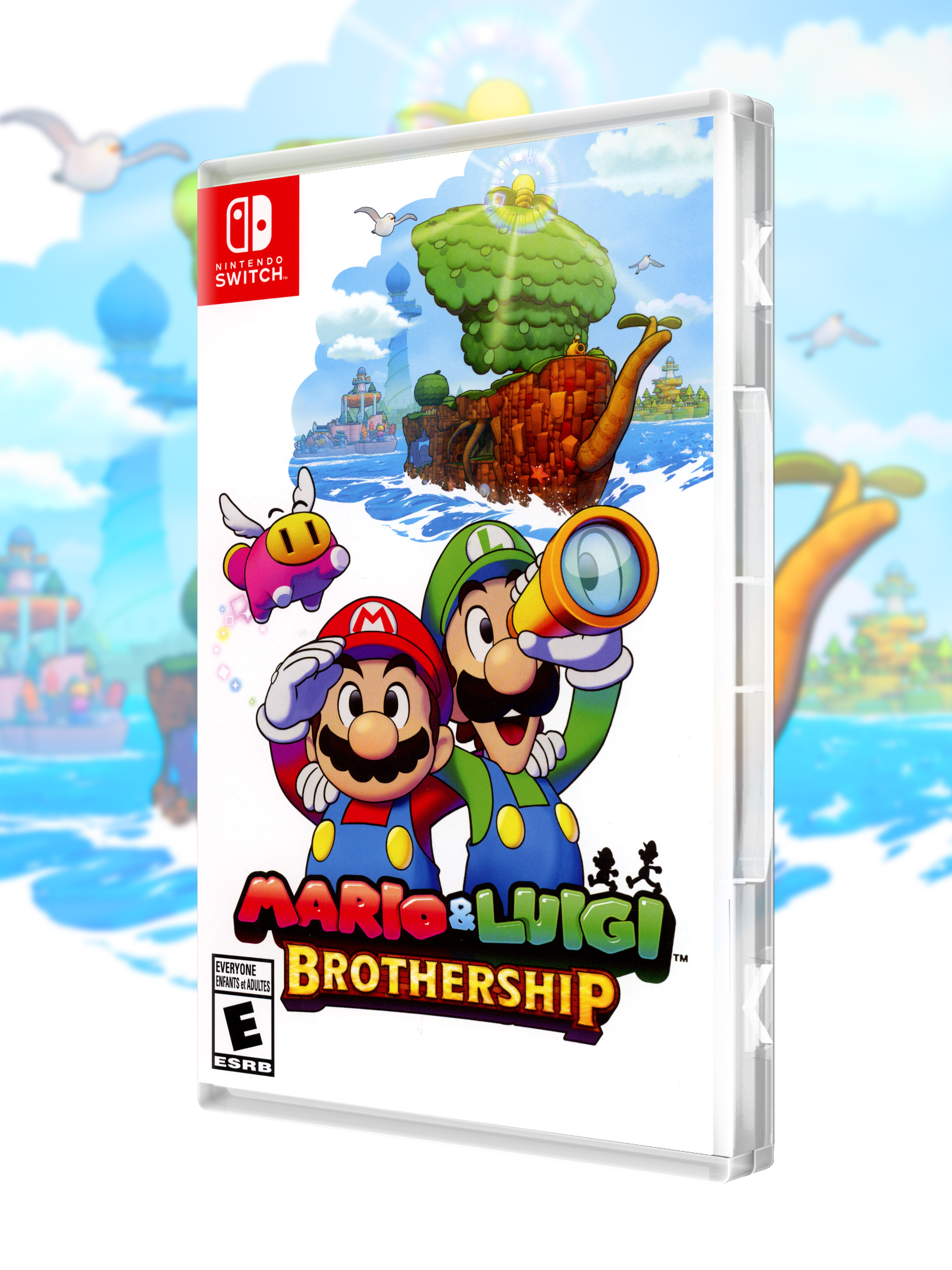 SWITCH_Mario-&-Luigi-Brothership_USA_box-front.jpg